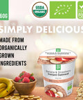 auga-organic-banana-strawberry-wholegrain-oatmeal-porridge-60gaugakoot4771085204930-216853