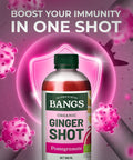 bangs-organic-ginger-shot-with-pomegranate-300mlbangskoot-841673